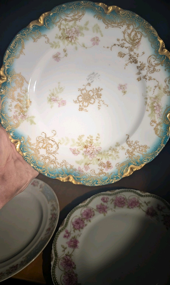 Haviland & Co Limoges Floral Porcelain Plate Gold Trim Decorative France