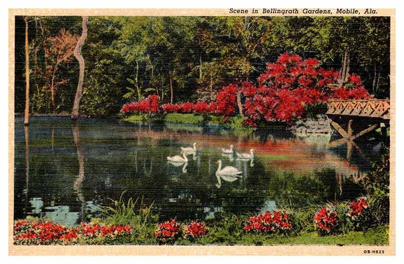 Postcard GARDEN SCENE Mobile Alabama AL m/09 AP4611