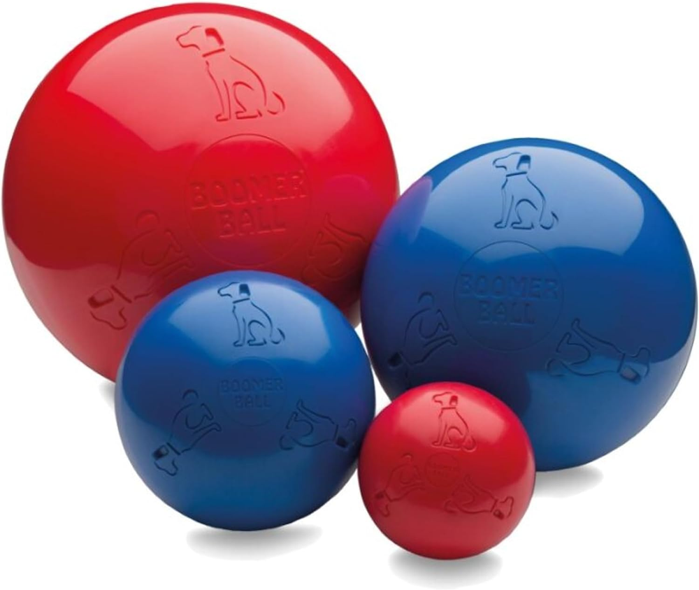 BOOMER BALL 8 Inch, Virtually Indestructible Best Dog Toy, Boredom Busting Footb