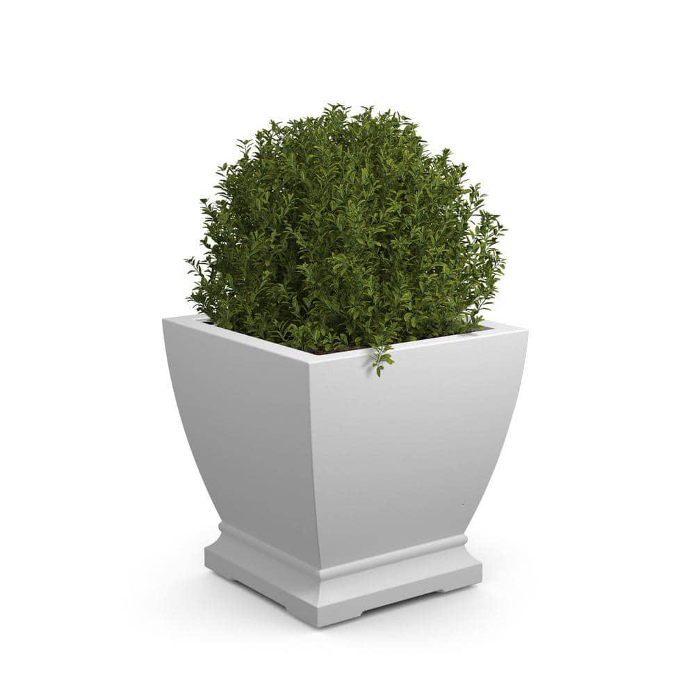 Acadia 20 in. Square Self-Watering White Polyethylene Planter-image