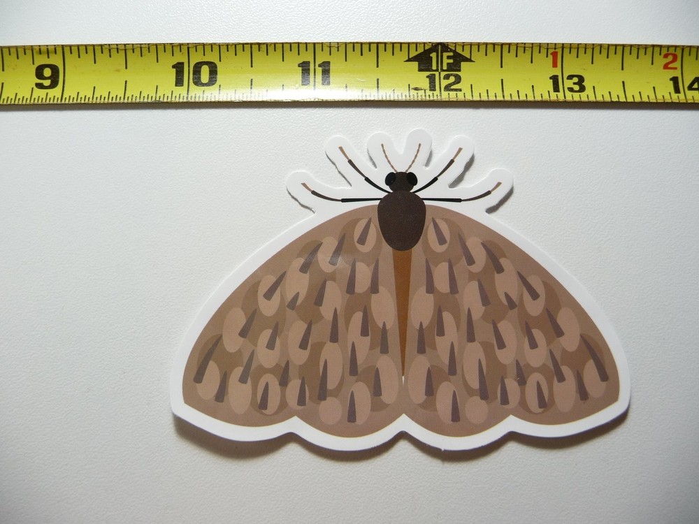 Cute Moth #6 Decal Sticker Fun Bug Insect Design