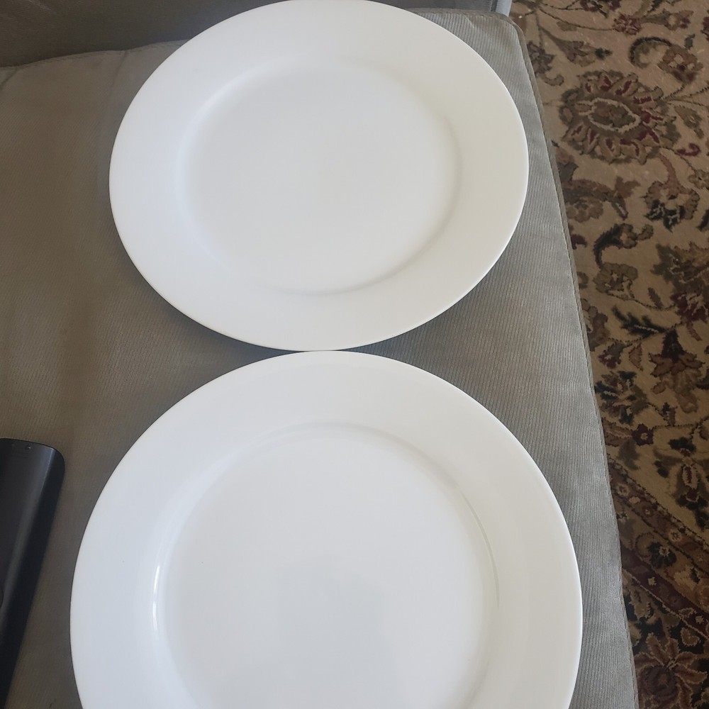Vertex ARG-20 TWO 11-inch elegant dinner plates for stylish dining