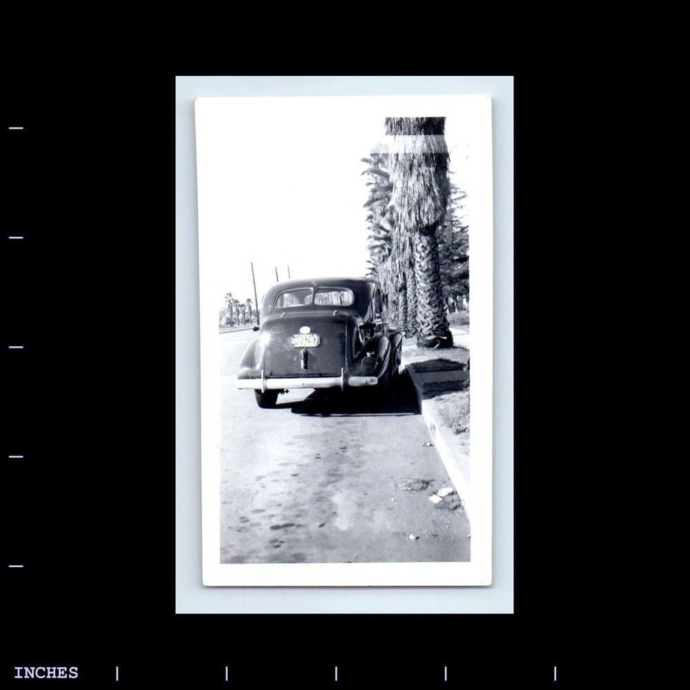 Old Vintage Photo STREET SCENE CLASSIC CAR PALM TREES