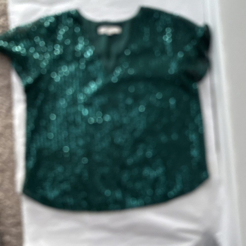 LOFT Green Sequin Solid V-Neck Blouse Short Sleeve Womens Regular Size L