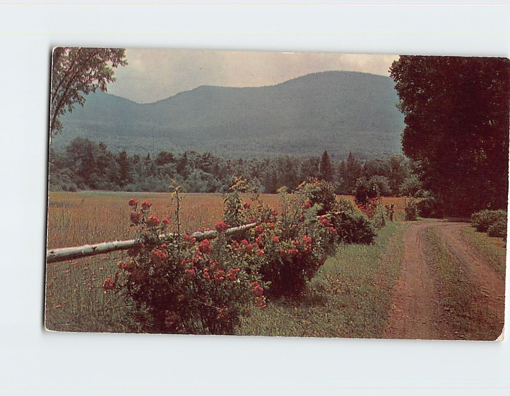 Postcard Country Road Catskill Mountains NY USA