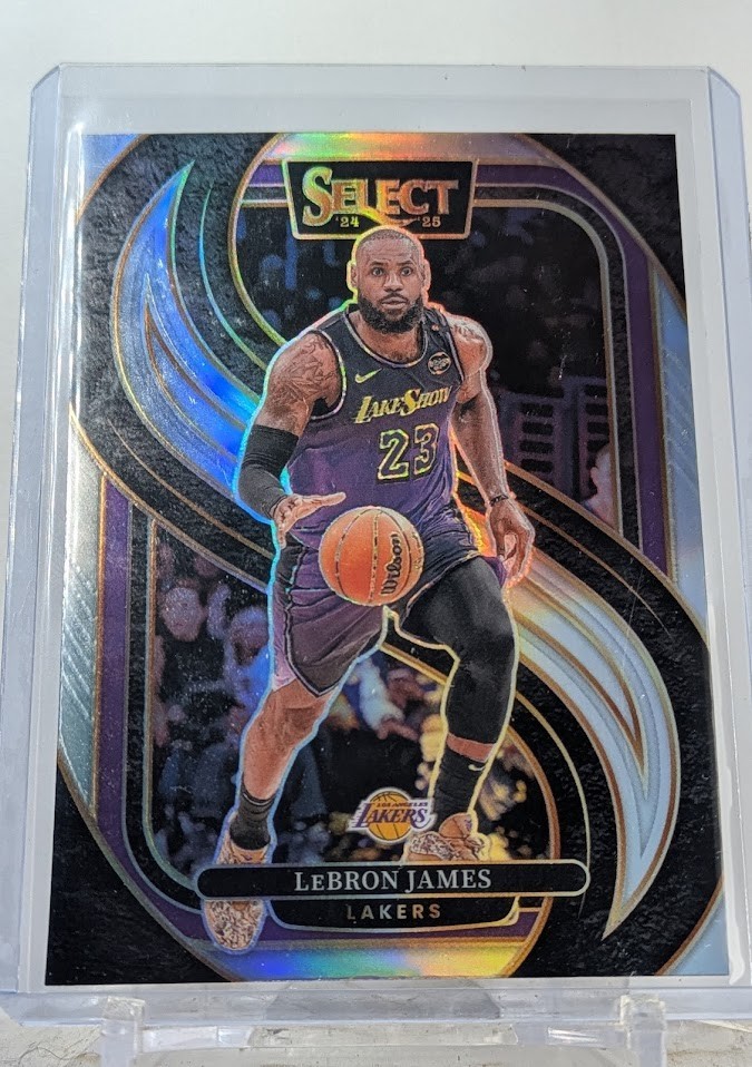 2024-25 Panini Select - Premier Level LeBron James #111 Silver Prizm