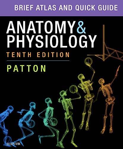Breif Atlas and Quick Guide Anatomy & Physilogy 10th - Paperback - GOOD