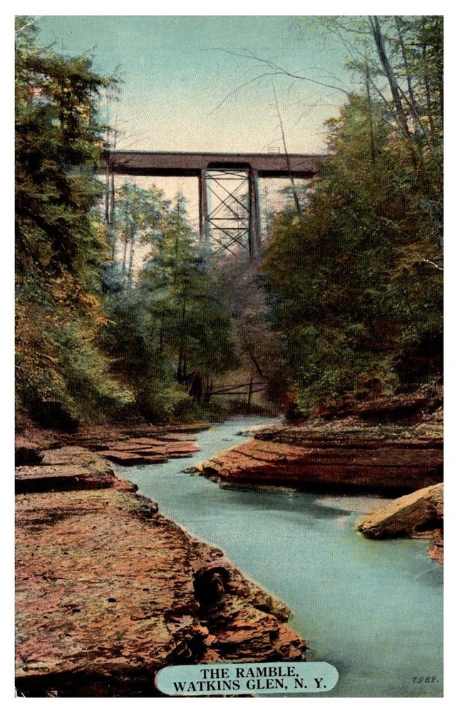 c1910 Gorge View Of The Ramble Watkins Glen New York Vintage Postcard