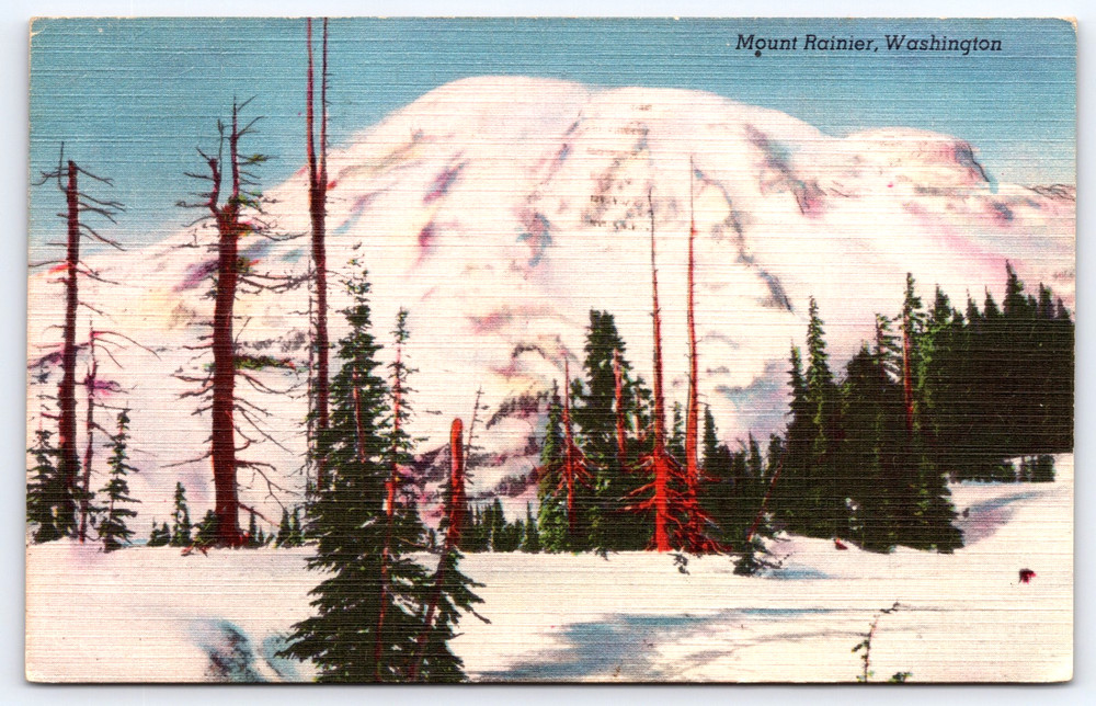 Vintage Postcard Mount Rainier National Park Mountain Winter Snow Washington USA