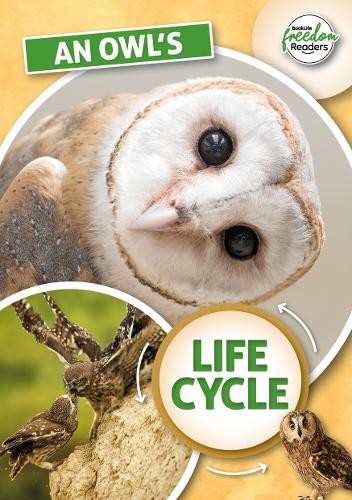 Madeline Tyler An Owl's Life Cycle (Paperback) BookLife Freedom ReadersAnother great item from Rarewaves USA | Free delivery!