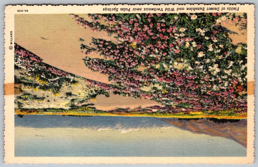 Vtg Linen Postcard Desert Sunshine Wild Verbena Palm Springs, CA 1930s