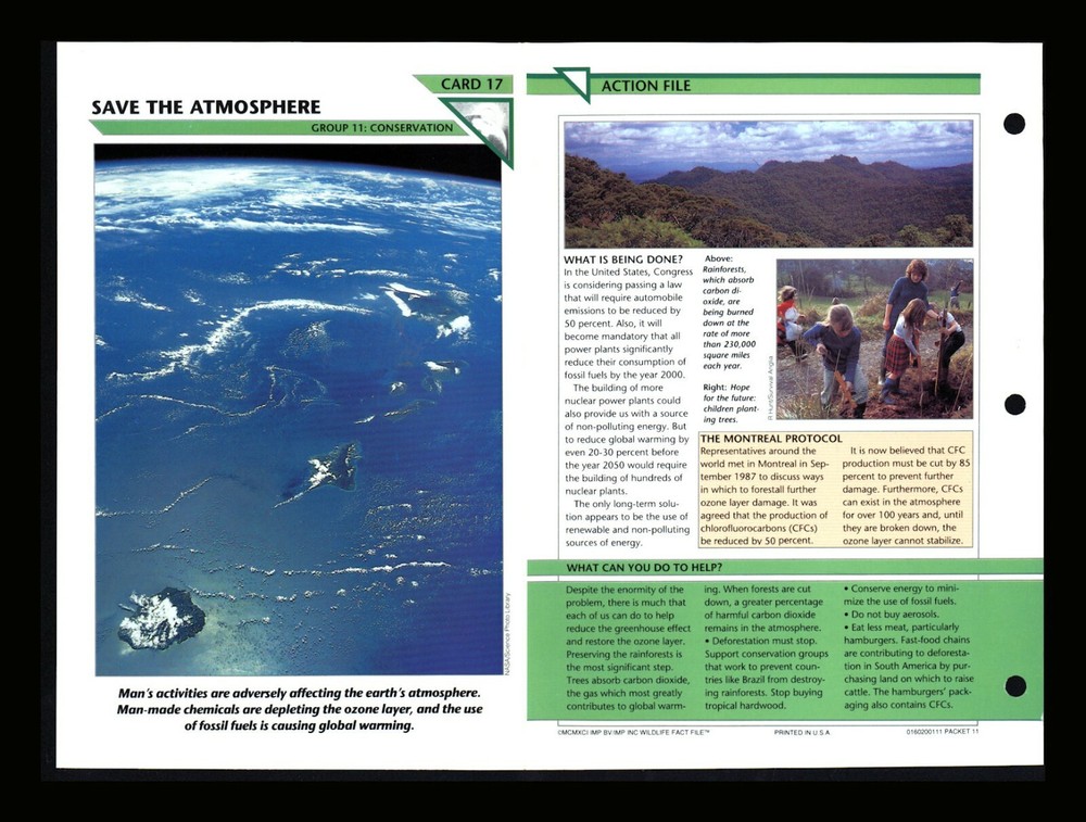 Wildlife Conservation Fact Cards Save Nature Home School Educational 11.17