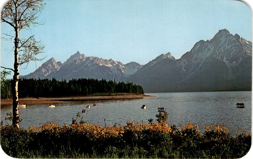 Teton Range, Jackson Lake, Colter Bay, Grand Teton National Park, Postcard