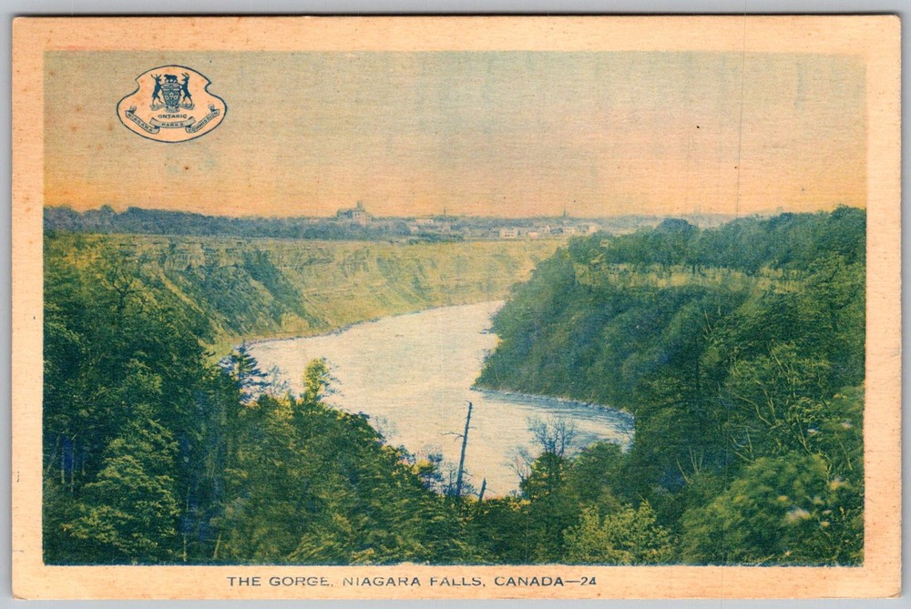 Antique Postcard Gorge River View Niagara Falls, CA 1910s