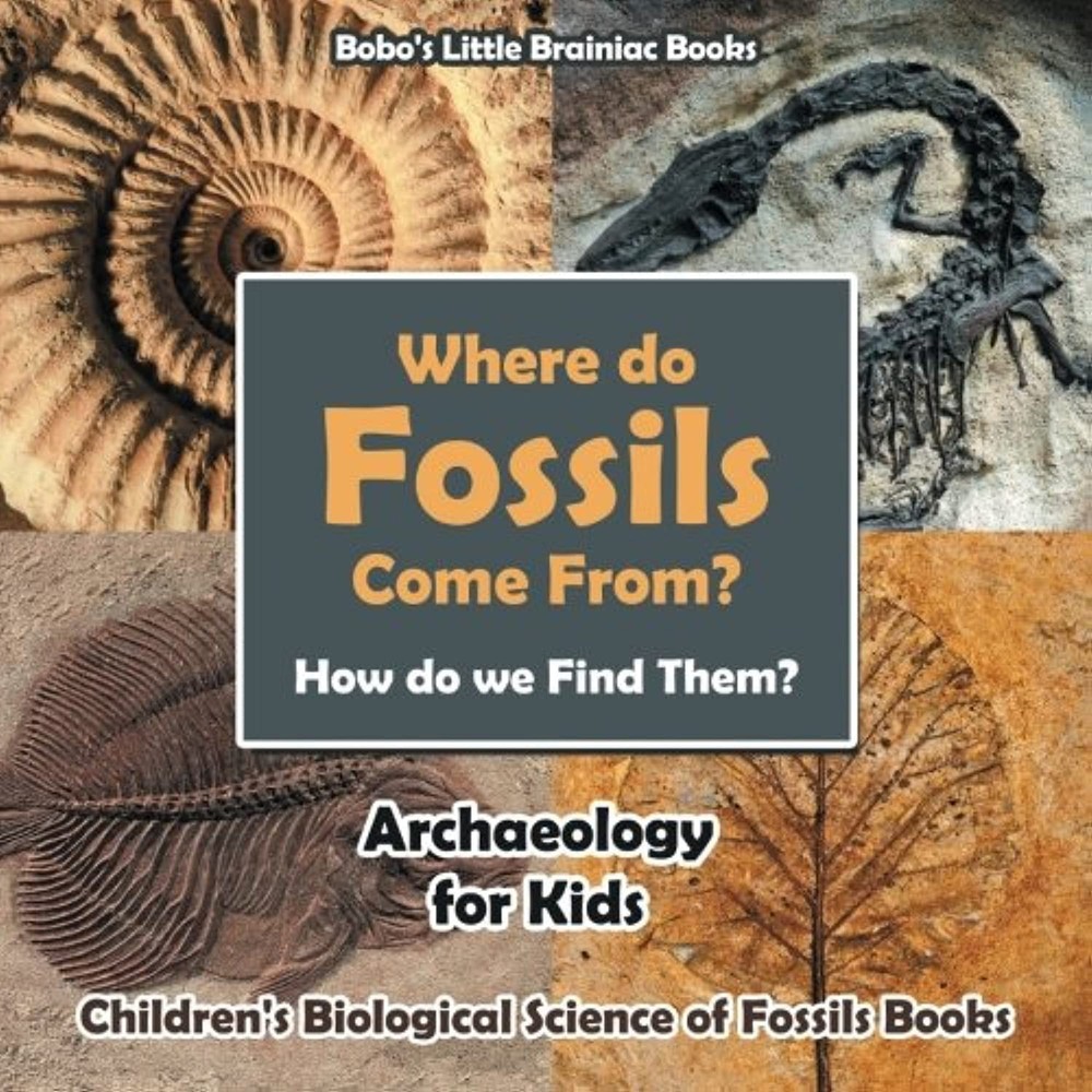 Where Do Fossils Come from? How Do We Find Them? Archaeology for Kids - Children