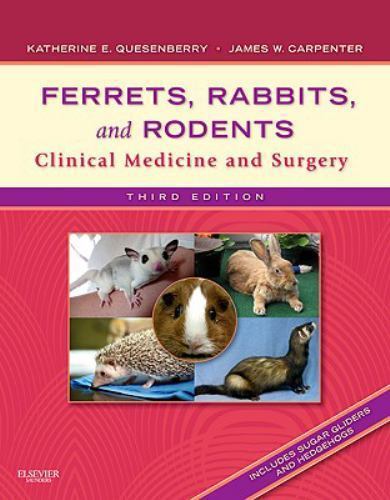 Ferrets, Rabbits, and Rodents: Clinical Medicine and Surgery by