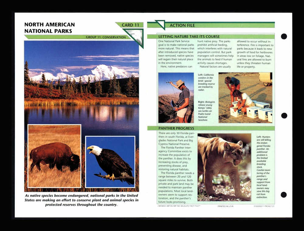 North American Wildlife Fact Cards for National Parks Conservation Homeschool Learning
