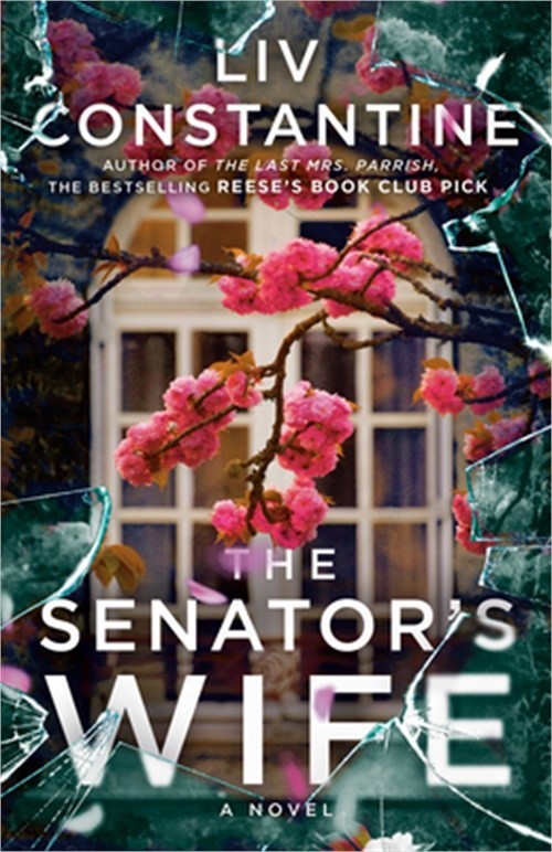 The Senator's Wife (Paperback or Softback)