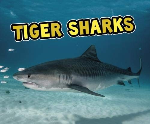 All About Sharks: Tiger Sharks by Nuzzolo, Deborah Paperback / softback Book TheFREE US DELIVERY | ISBN: 1474743072 | Quality Books