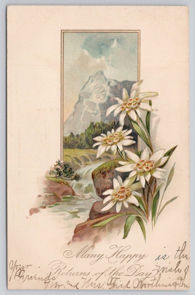 Vintage Embossed Edelweiss Postcard - Alpine Mountain Waterfall & Flowers