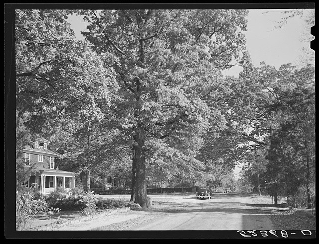Photo:Chapel Hill North Carolina 1939 Street Trees House Road