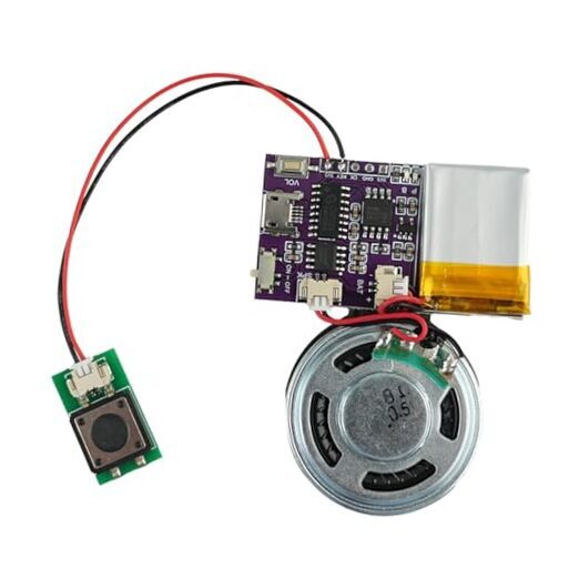 Sound Module,16 MB Push Button Control Activated Vioce Chips, MP3 Music Sound