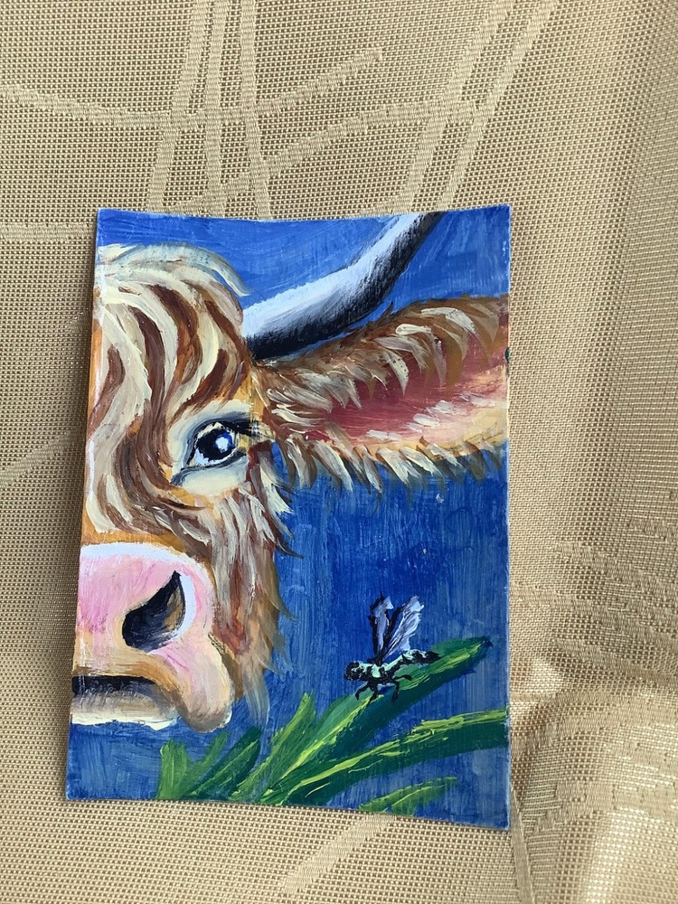 ACEO Original Painting Highland Cow Dragonfly Whimsical Animal Art Miniature OOA