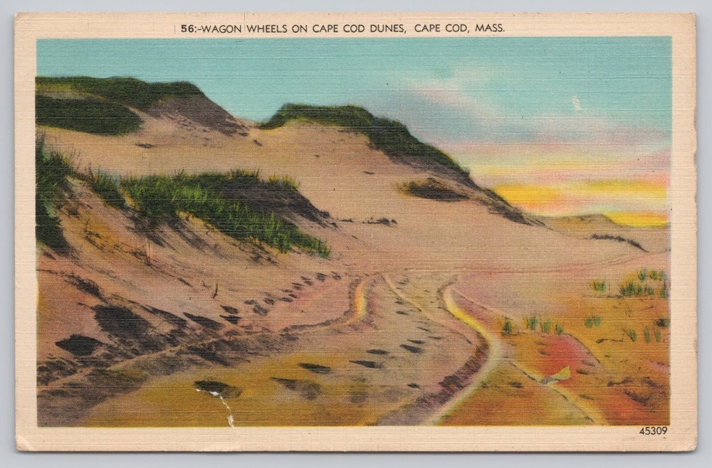 Cape Cod Massachusetts, Wagon Wheels on Cape Cod Sand Dunes, Vintage Postcard