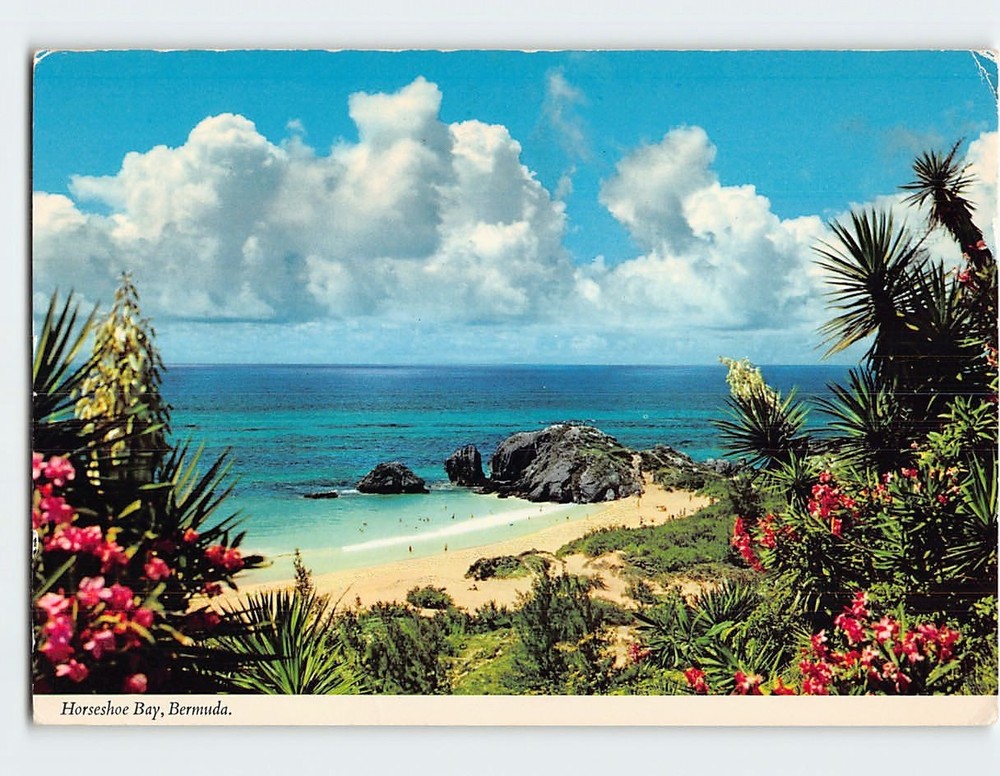 Postcard Horseshoe Bay Bermuda British Overseas Territory