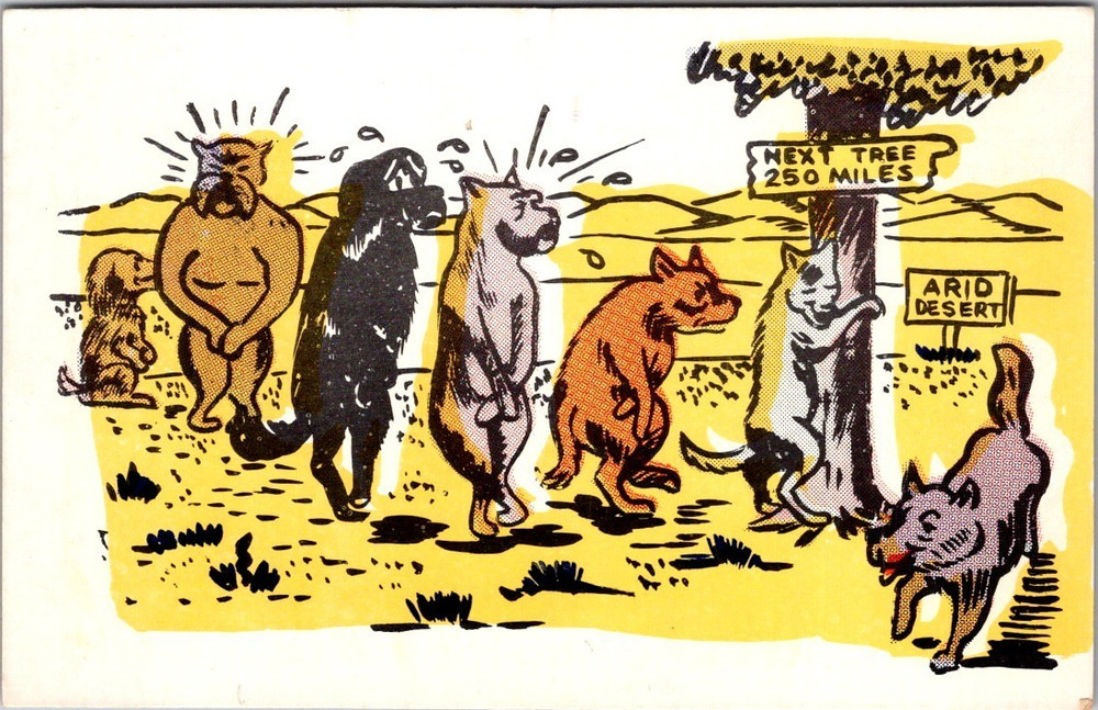 Vintage Comic Postcard Desert Humor Next Tree 250 Miles Animals