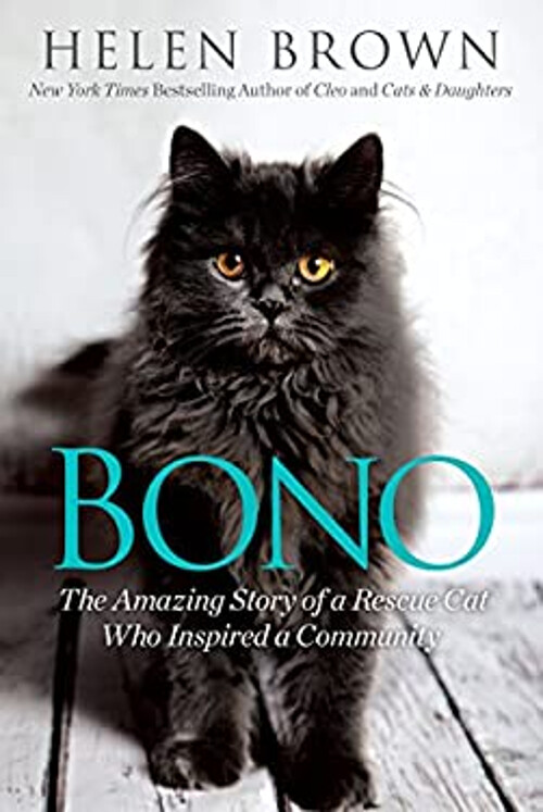 Bono : The Amazing Story of a Rescue Cat Who Inspired a Community