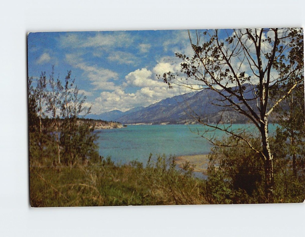 Postcard Columbia Lake BC Canada