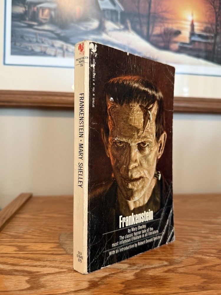 Frankenstein by Mary Shelley Vintage Paperback 1973