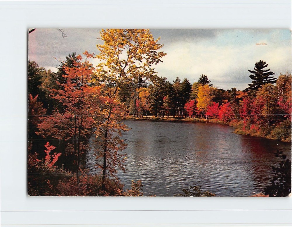 Postcard Autumn Lake Nature Scene