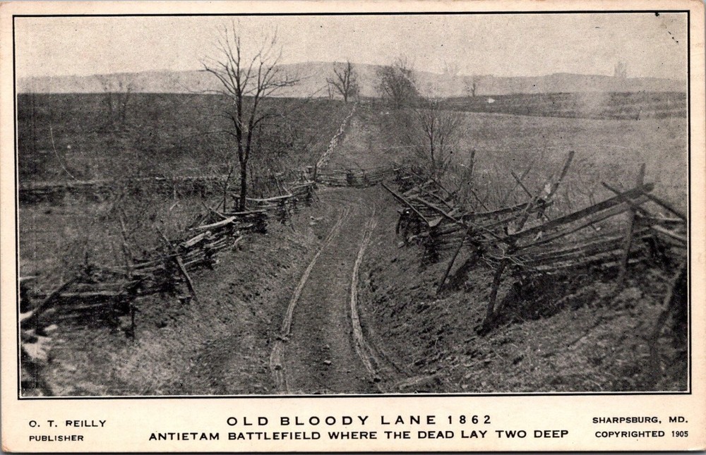 Old Bloody Lane 1862 Antietam Battlefield Sharpsburg MD 1905 Postcard