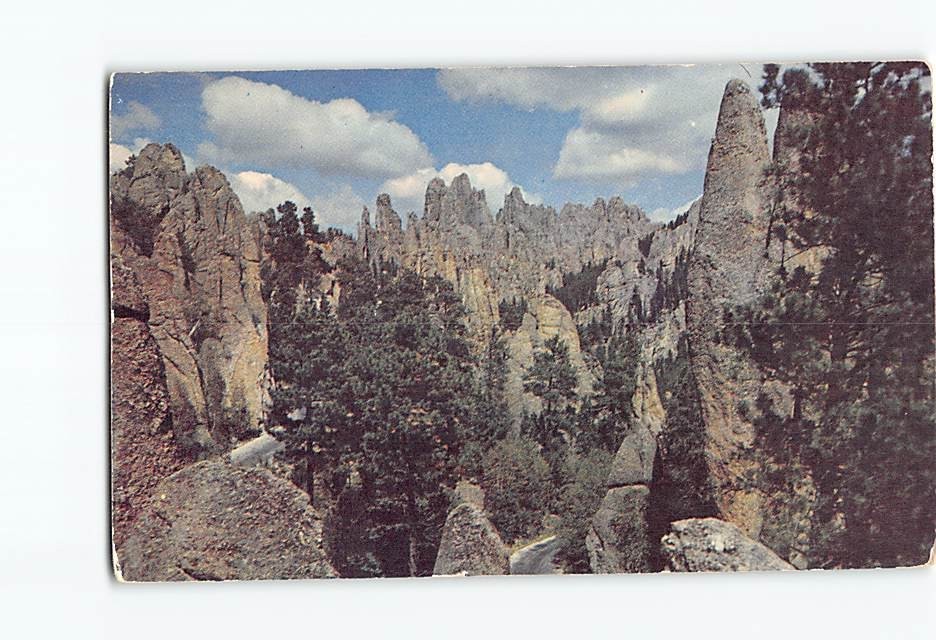 Postcard Custer State Park In South Dakota USA
