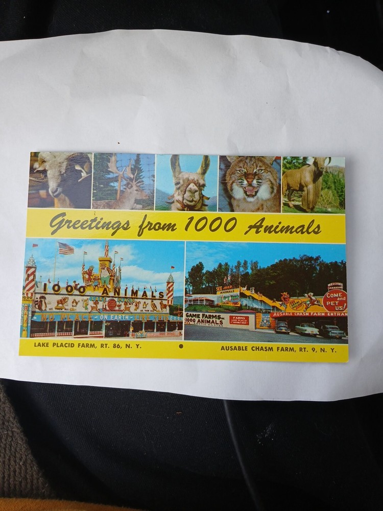 VTG 1960s - Greetings From 1000 Animals Park - Lake Placid, New York Postcard
