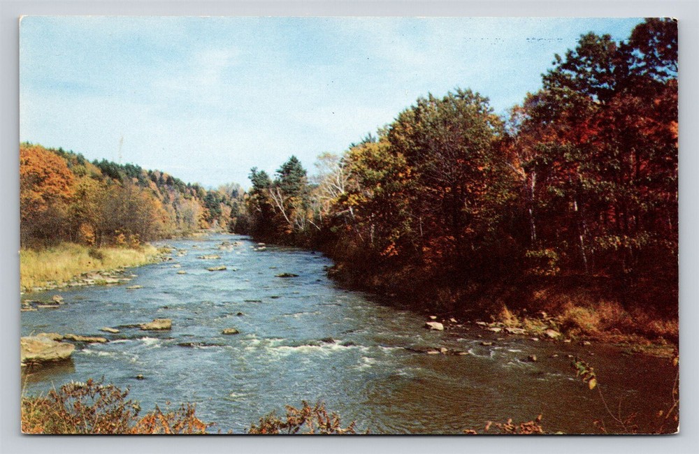 Greetings from Sylvan Beach New York Vintage NY Postcard View Oneida County