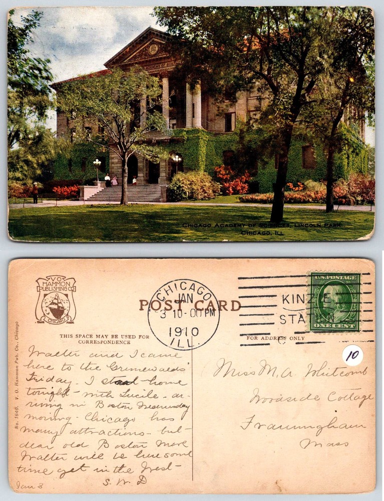 Chicago Illinois LINCOLN PARK CHICAGO ACADEMY OF SCIENCE 1910 Postcard Q791-image