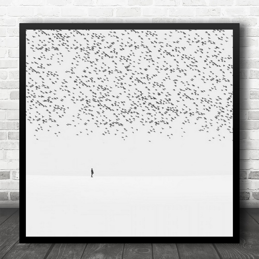 Birds Bird Flock Person Graphic High-Key Pattern Alone Lonely Square Print