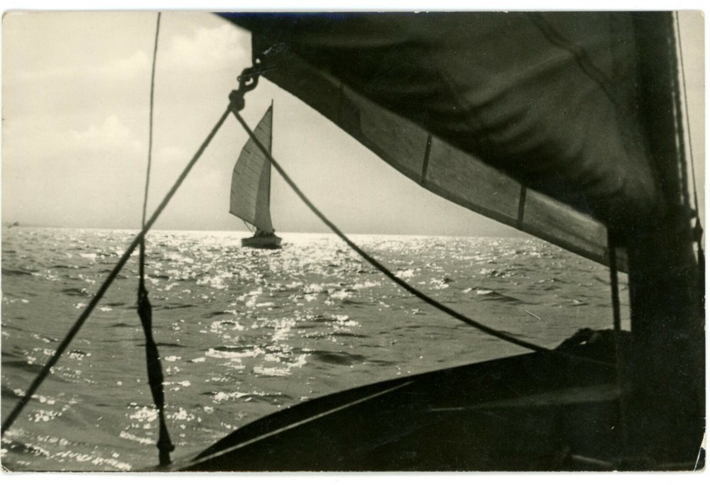 Sailboats At The Sailing Competition In Balatonfüred, Veszprém, Hungary Postcard