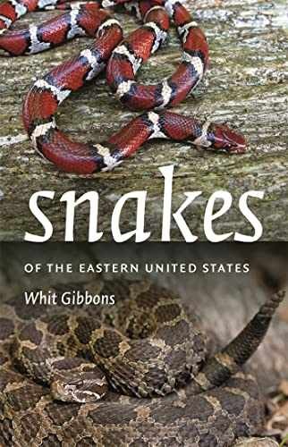 Snakes of the Eastern United States - Paperback, by Gibbons Whit - Very Good