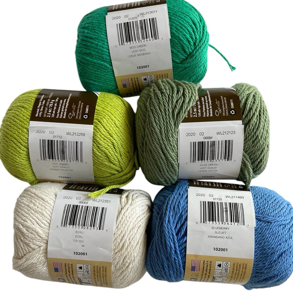 Sugar n Cream Yarn Bundle - 5 Skeins in Mod Hot Sage Green Ecru Blueberry Mix
