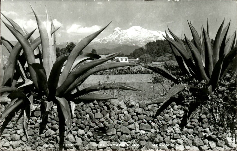 RPPC El Ixtaccihuatl dormant volcano Mexico ~ Agave ~ Kodak real photo postcard