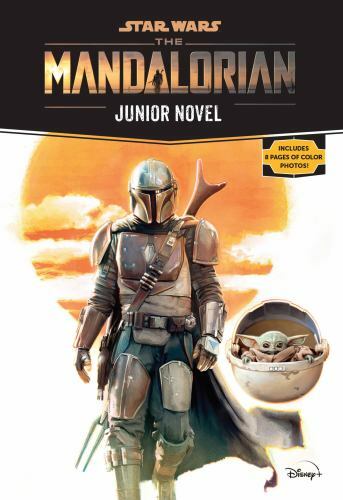 Star Wars: The Mandalorian Junior Novel, USED-Good, Schreiber, Joe