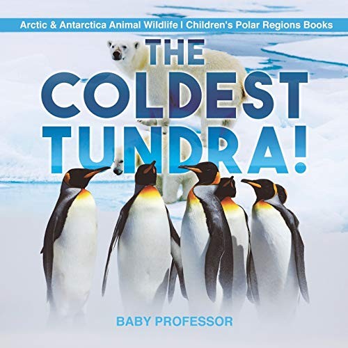 The Coldest Tundra! | Arctic & Antar..., Baby Professor