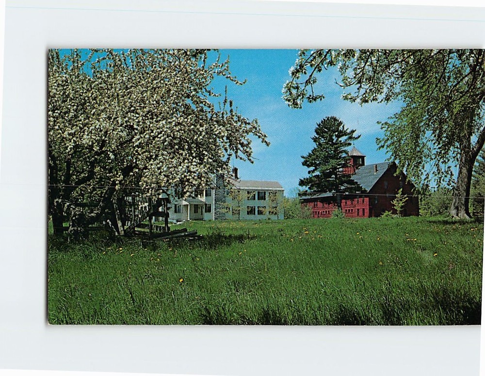 Postcard Houses and Trees Scene