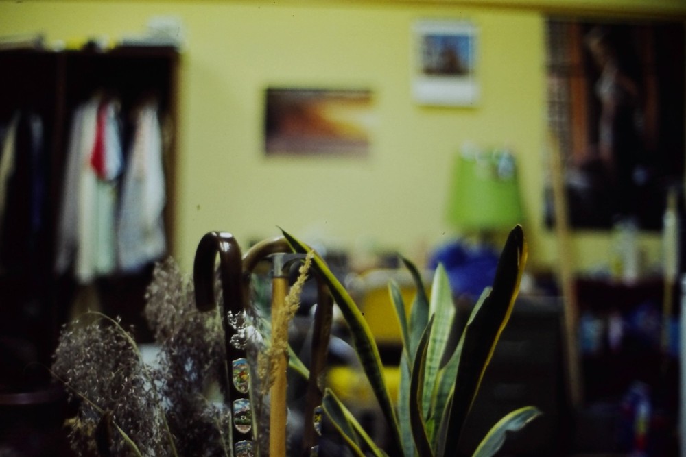 c1970's 35mm Slide Film Interior Room Walking Canes Snake Plant Wall Doorway