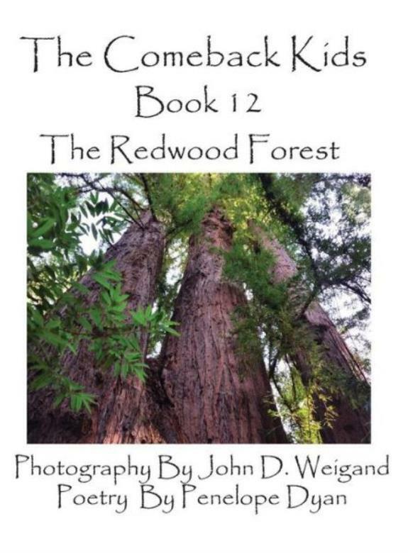 The Comeback Kids, Book 12, the Redwood Forest