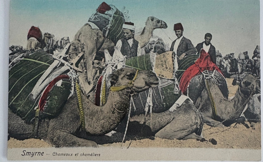 Ottoman Turkey Smyrne Chameaux et chameliers Turkish Smyrna Camels